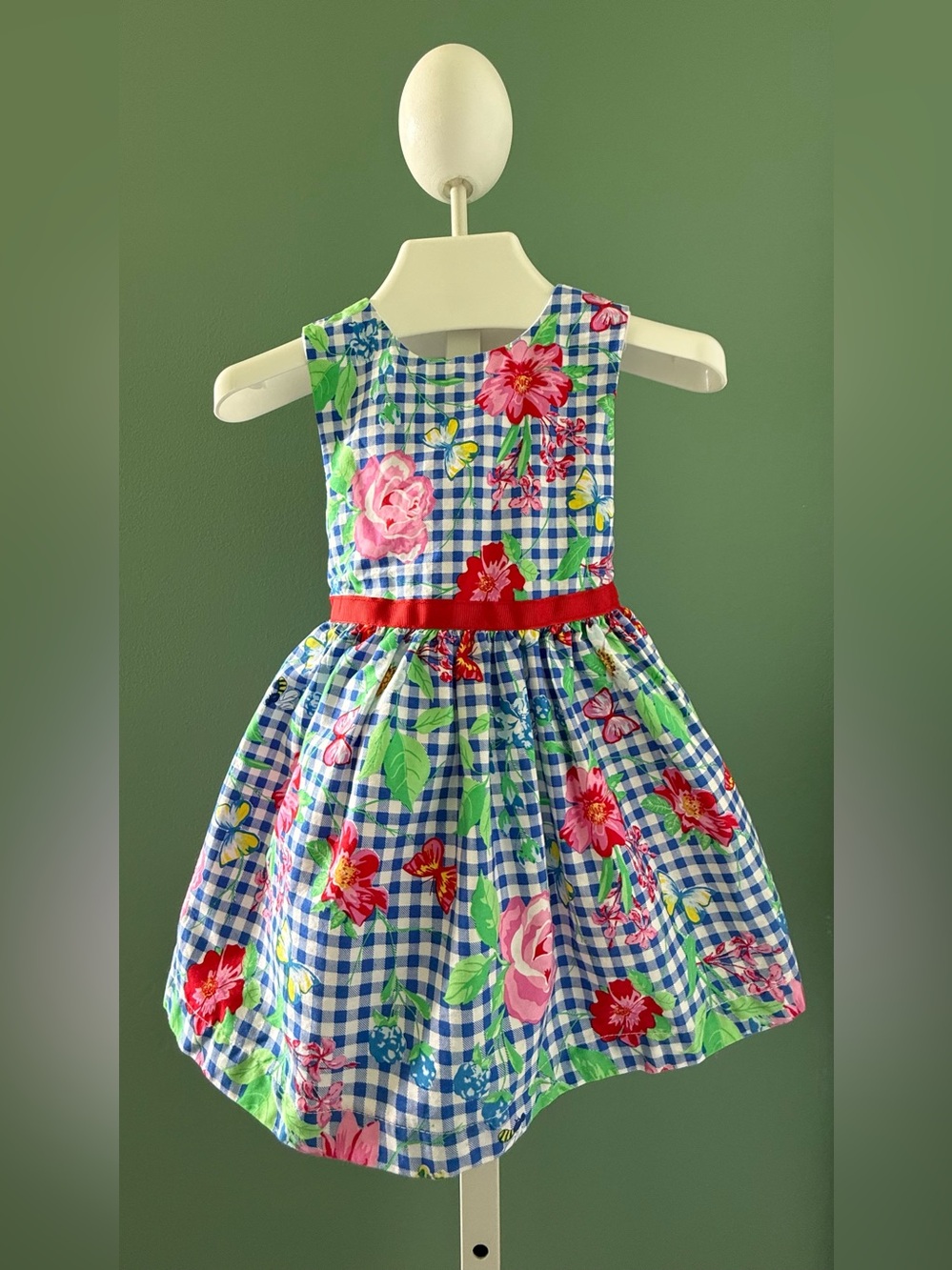 Nannette Kids Girls Blue Gingham Floral Dress with Red Waistband
